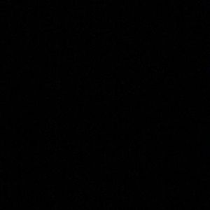 Meet your Posher, Donte